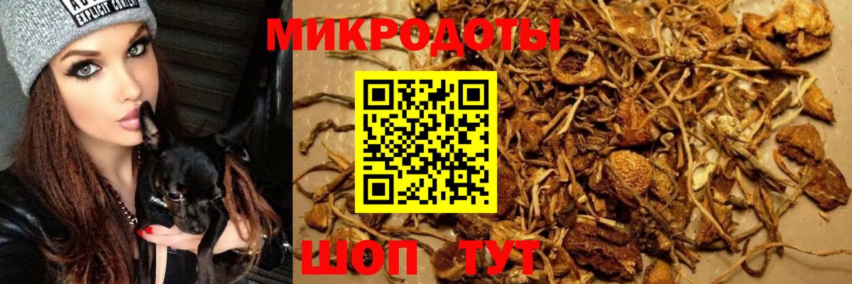Армавир  Галлюциногенные грибы MAGIC MUSHROOMS  Вход с VPN 